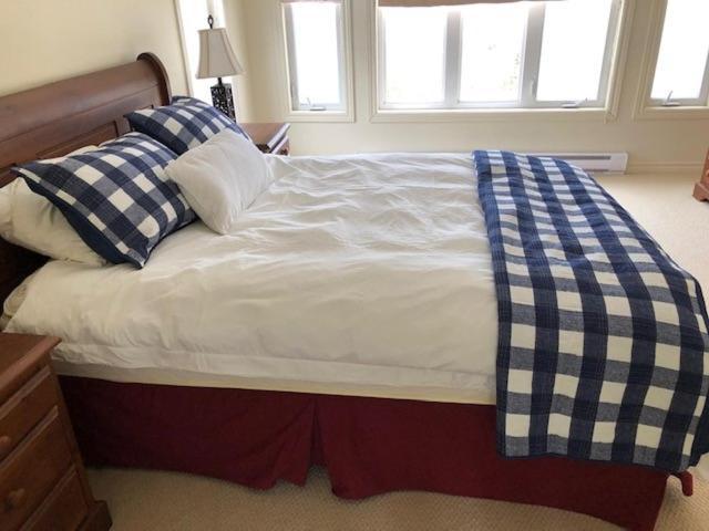 The Thoughtful Dog Bed & Breakfast South Brook Luaran gambar