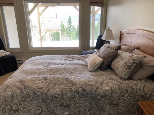 The Thoughtful Dog Bed & Breakfast South Brook Luaran gambar